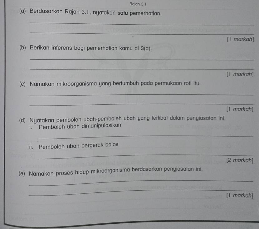 Rajah 3. 1 
(a) Berdasarkan Rajah 3.1, nyatakan satu pemerhatian. 
_ 
_ 
[l markah] 
(b) Berikan inferens bagi pemerhatian kamu di 3(a). 
_ 
_ 
[1 markah] 
(c) Namakan mikroorganisma yang bertumbuh pada permukaan roti itu. 
_ 
_ 
[1 markah] 
(d) Nyatakan pemboleh ubah-pemboleh ubah yang terlibat dalam penyiasatan ini. 
i. Pemboleh ubah dimanipulasikan 
_ 
ii. Pemboleh ubah bergerak balas 
_ 
[2 markah] 
_ 
(e) Namakan proses hidup mikroorganisma berdasarkan penyiasatan ini. 
_ 
[1 markah]