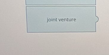 joint venture