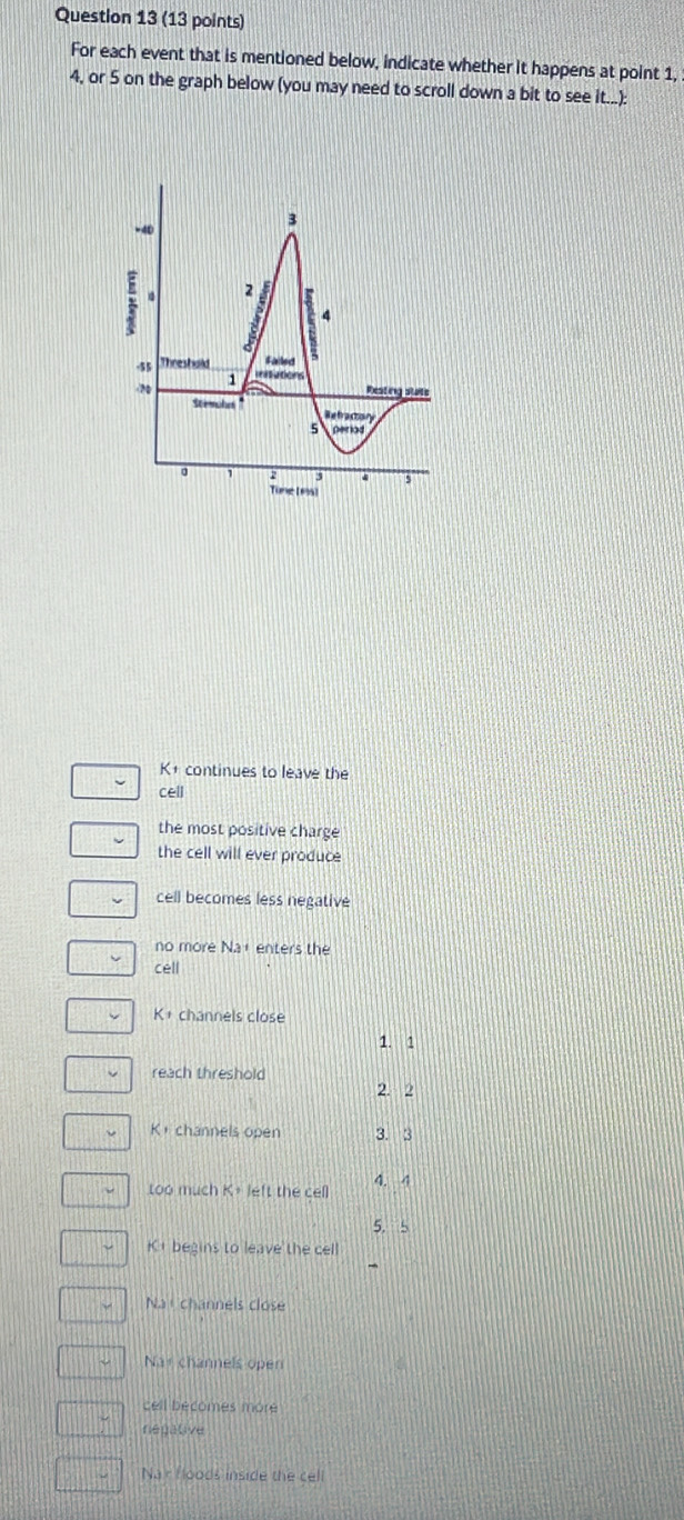 For each event that is mentioned below, indicate whether it happens at point 1,
4, or 5 on the graph below (you may need to scroll down a bit to see it...):
K_1 continues to leave the
cell
the most positive charge
the cell will ever produce
cell becomes less negative
no more Na+ enters the
cell
K+ channels close
1. 1
reach threshold
2. 2
K， channels open 3. 3
too much K+ left the cell 4. 4
5. 5
K+ begins to leave the cell
Na channels close
Nat channels open
cell becomes more
négative
Nar Hoods inside the cell