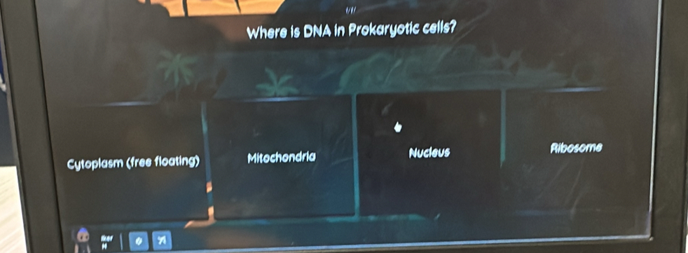 Where is DNA in Prokaryotic cells?
Cytoplasm (free floating) Mitochondria Nucleus Ribosome
a