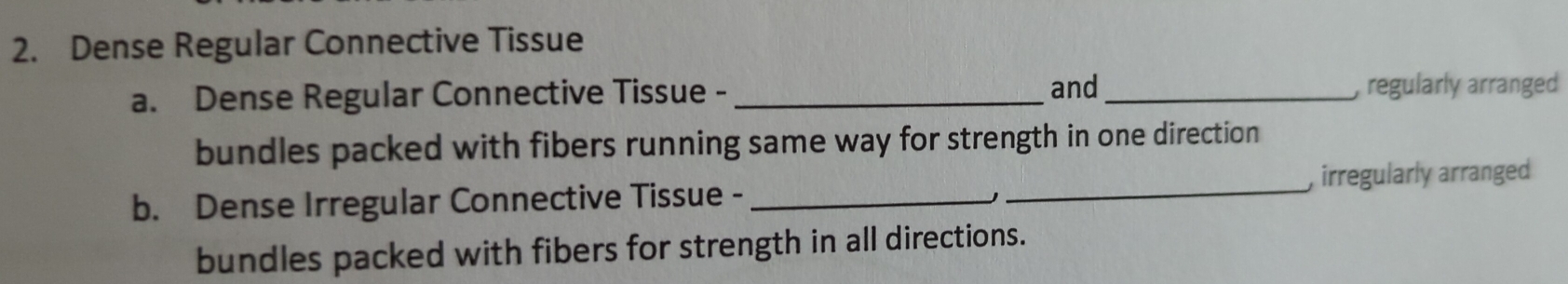 Dense Regular Connective Tissue 
and 
a. Dense Regular Connective Tissue - __, regularly arranged 
bundles packed with fibers running same way for strength in one direction 
b. Dense Irregular Connective Tissue -_ _, irregularly arranged 
bundles packed with fibers for strength in all directions.