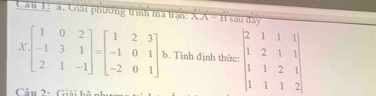 Cau 1: a. Giải phương trình ma trận: X.A=B sau day
Xbeginbmatrix 1&0&2 -1&3&1 2&1&-1endbmatrix =beginbmatrix 1&2&3 -1&0&1 -2&0&1endbmatrix b. Tính định thức: beginvmatrix 2&1&1&1 1&2&1&1 1&1&2&1 1&1&1&2endvmatrix
Câu 2: Giải hệ nh