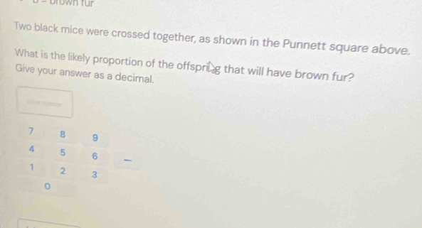 Two black mice were crossed together, as shown in the Punnett square above. 
What is the likely proportion of the offsprig that will have brown fur? 
Give your answer as a decimal.