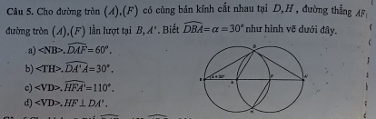 Cho đường tròn (A),(F) có cùng bán kính cắt nhau tại D,H, đường thẳng AF
đường tròn (A),(F) lần lượt tại B,A". Biết widehat DBA=alpha =30° như hình vẽ dưới đây.
. a) .widehat DAF=60°.
b) ∠ TH>.widehat DA'A=30°.
c) .widehat HFA'=110°.
d) .HF⊥ DA'.