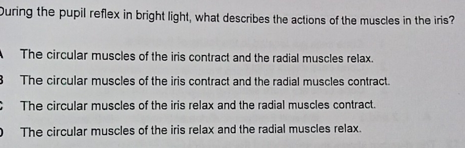 During the pupil reflex in bright light, what describes the actions of the muscles in the iris?
The circular muscles of the iris contract and the radial muscles relax.
8 The circular muscles of the iris contract and the radial muscles contract.
CThe circular muscles of the iris relax and the radial muscles contract.
0 The circular muscles of the iris relax and the radial muscles relax.