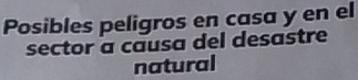 Posibles peligros en casa y en el 
sector a causa del desastre 
natural