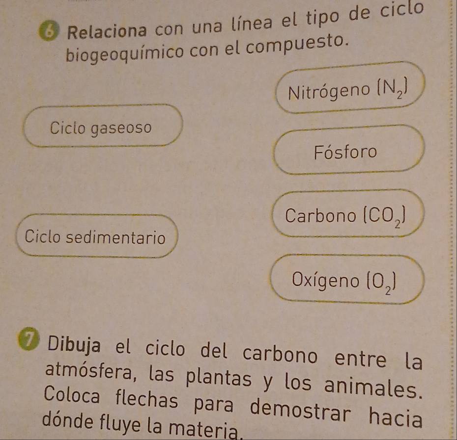 Relaciona con una línea el tipo de ciclo 
biogeoquímico con el compuesto. 
Nitrógeno (N_2)
Ciclo gaseoso 
Fósforo 
Carbono (CO_2)
Ciclo sedimentario 
Oxígeno (O_2)
7 Dibuja el ciclo del carbono entre la 
atmósfera, las plantas y los animales. 
Coloca flechas para demostrar hacia 
dónde fluye la materia.