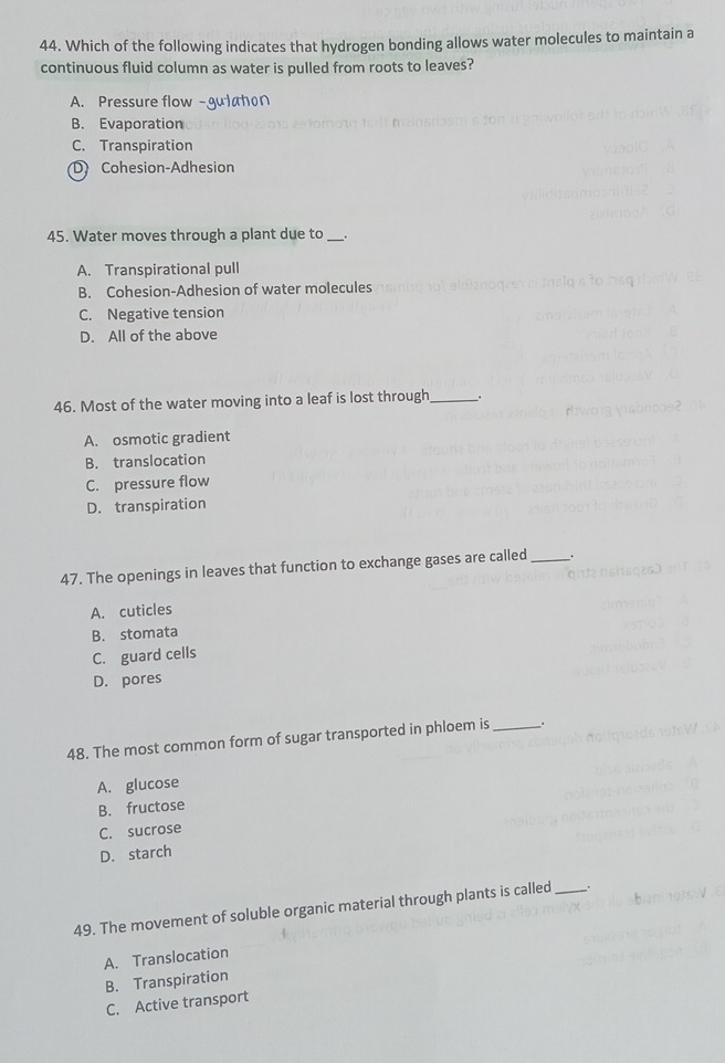 Which of the following indicates that hydrogen bonding allows water molecules to maintain a
continuous fluid column as water is pulled from roots to leaves?
A. Pressure flow -gulation
B. Evaporation
C. Transpiration
D Cohesion-Adhesion
45. Water moves through a plant due to
A. Transpirational pull
B. Cohesion-Adhesion of water molecules
C. Negative tension
D. All of the above
46. Most of the water moving into a leaf is lost through_ .
A. osmotic gradient
B. translocation
C. pressure flow
D. transpiration
47. The openings in leaves that function to exchange gases are called_ .
A. cuticles
B. stomata
C. guard cells
D. pores
48. The most common form of sugar transported in phloem is_ .
A. glucose
B. fructose
C. sucrose
D. starch
49. The movement of soluble organic material through plants is called _.
A. Translocation
B. Transpiration
C. Active transport