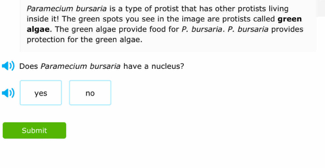 Paramecium bursaria is a type of protist that has other protists living
inside it! The green spots you see in the image are protists called green
algae. The green algae provide food for P. bursaria. P. bursaria provides
protection for the green algae.
Does Paramecium bursaria have a nucleus?
yes no
Submit