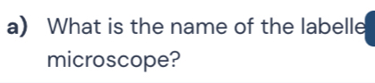 What is the name of the labelle 
microscope?