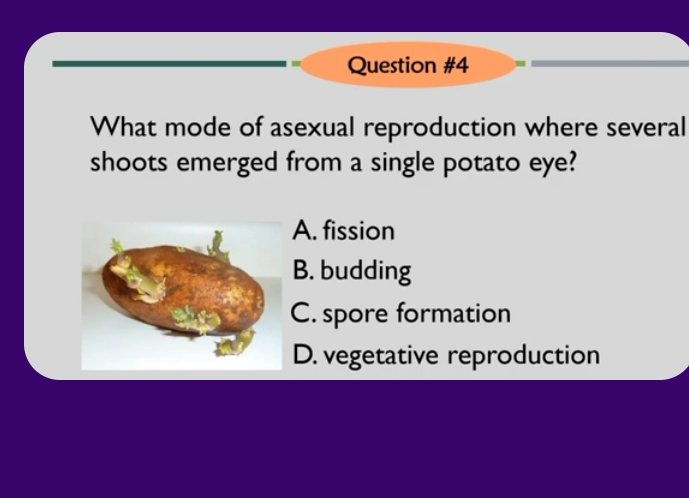 What mode of asexual reproduction where several
shoots emerged from a single potato eye?
A. fission
B. budding
C. spore formation
D. vegetative reproduction