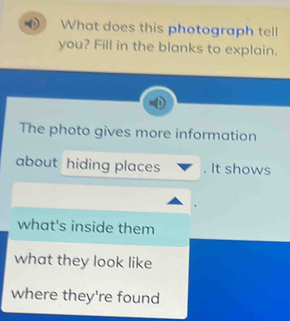 What does this photograph tell 
you? Fill in the blanks to explain. 
The photo gives more information 
about hiding places . It shows 
what's inside them 
what they look like 
where they're found