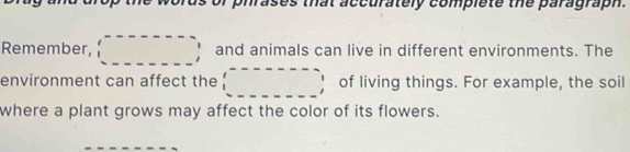 that accurately complete the paragraph. 
Remember, □ and animals can live in different environments. The 
environment can affect the □ of living things. For example, the soil 
where a plant grows may affect the color of its flowers.