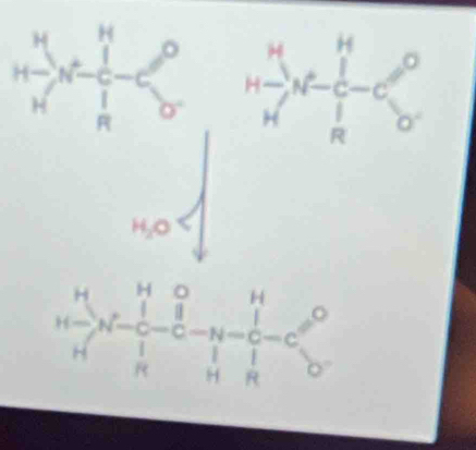 H_2O
beginarrayr H Hendarray  H-frac HGH Hendarray  beginarrayr HGendarray -beginarrayr H-OH Hendarray beginarrayr Hendarray beginarrayr H Hendarray beginarrayr O Hendarray