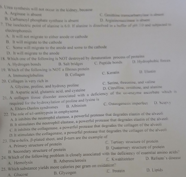 Urea synthesis will not occur in the kidney, because
A. Arginase is absent C. Omithine transcarbamylase is absent
B. Carbamoyl phosphate synthase is absent D. Argininosuccinase is absent
7. The isoelectric point of alanine is 6.0. If alanine is dissolved in a buffer of pH overline S) and subjected to    
electrophoresis
A. It will not migrate to either anode or cathode
B. It will migrate to the cathode
C. Some will migrate to the anode and some to the cathode
D. It will migrate to the anode
18. Which one of the following is NOT destroyed by denaturation process of proteins
A. Hydrogen bonds B. Salt bridges C. Peptide bonds D. Hydrophobic forces
19. Which of the following is NOT a fibrous protein
A. Immunoglobulins B. Collagen C. Keratin D. Elastin
20. Collagen is very rich in
A. Glycine, proline, and hydroxy proline C. Serine, threonine, and valine
B. Aspartic acid, glutamic acid, and cysteine D. Citrulline, ornithine, and alanine
21. A collagen tissue disorder associated with a deficiency of the co-enzyme ascorbate which is
required for the hydroxylation of proline and lysine is D. Scurvy
A. Ehlers-Danlos syndromes B. Albinism C. Osteogenesis imperfect
22. The role of α1-antitrypsin in emphysema
A. It inhibits the neutrophil elastase, a powerful protease that degrades elastin of the alveoli
B. It stimulates the neutrophil elastase, a powerful protease that degrades elastin of the alveoli
C. It inhibits the collagenase, a powerful protease that degrades the collagen of the alveoli
D. It stimulates the collagenase, a powerful protease that degrades the collagen of the alveoli
23. The α-helix. β-plated sheet. and β-turn are the example of
A. Primary structure of protein C. Tertiary structure of protein
B. Secondary structure of protein D. Quaterary structure of protein
24. Which of the following problem is closely associated with the deficiency of essential amino acids?
A. Hemolysis B. Atherosclerosis C. Kwabhidrkor  D. Refsum's disease
25. Which substance yields more calories per gram on axidaiion?
A. Glucose B. Glycogen C. Pocabin D. Lipids