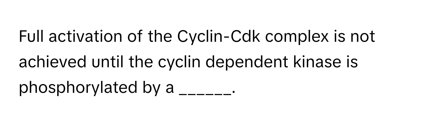 Full activation of the Cyclin-Cdk complex is not achieved until the cyclin dependent kinase is phosphorylated by a ______.