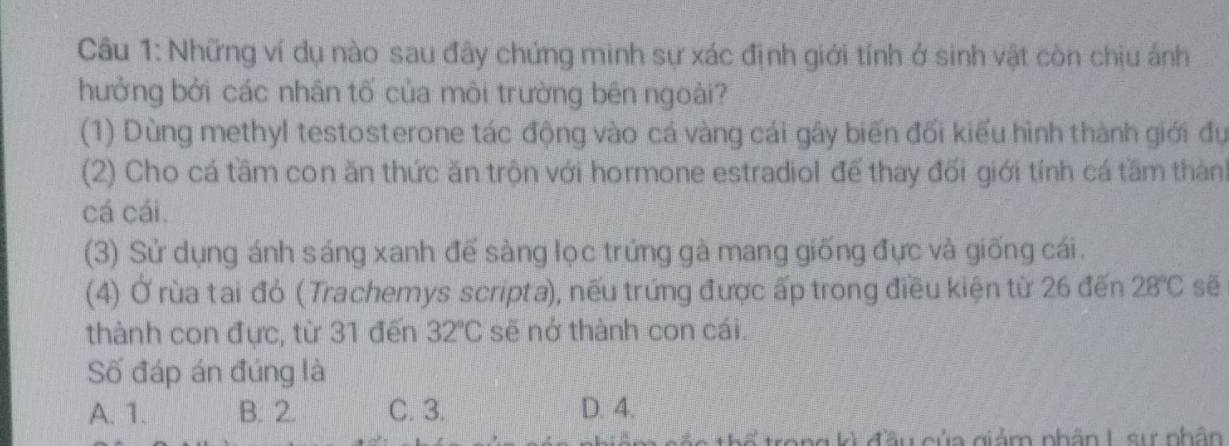 Những ví dụ nào sau đây chứng minh sự xác định giới tính ở sinh vật còn chịu ánh
hưởng bởi các nhân tố của môi trường bên ngoài?
(1) Dùng methyl testosterone tác động vào cá vàng cái gây biến đối kiểu hình thành giới đự
(2) Cho cá tầm con ăn thức ăn trộn với hormone estradiol để thay đối giới tính cá tầm thành
cá cái.
(3) Sử dụng ánh sáng xanh để sàng lọc trứng gà mang giống đực và giống cái.
(4) Ở rùa tai đỏ (Trachemys scripta), nếu trứng được ấp trong điều kiện từ 26 đến 28°C sē
thành con đực, từ 31 đến 32°C sẽ nở thành con cái.
Số đáp án đúng là
A. 1. B. 2. C. 3. D. 4.
* hắc thể trong kì đầu của giảm phân I sự nhân