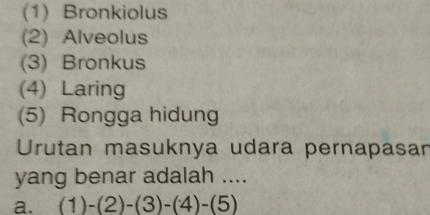 (1) Bronkiolus
(2) Alveolus
(3) Bronkus
(4) Laring
(5) Rongga hidung
Urutan masuknya udara pernapasan
yang benar adalah ....
a. (1)-(2)-(3)-(4)-(5)