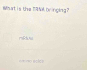 What is the TRNA bringing?
mRNAs
amino acids