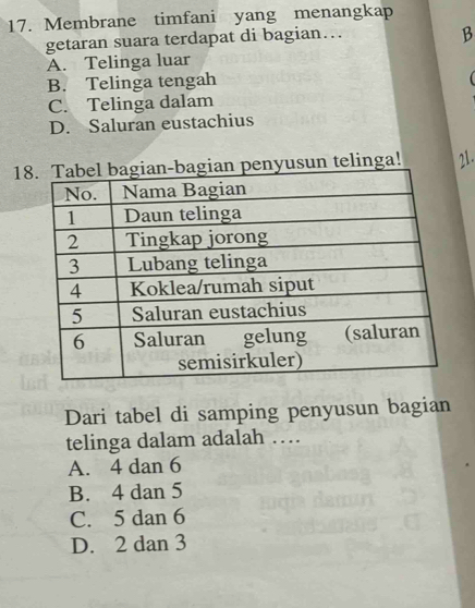 Membrane timfani yang menangkap
getaran suara terdapat di bagian…
B
A. Telinga luar
B. Telinga tengah
C. Telinga dalam
D. Saluran eustachius
1un telinga! 21.
Dari tabel di samping penyusun bagian
telinga dalam adalah …
A. 4 dan 6
B. 4 dan 5
C. 5 dan 6
D. 2 dan 3