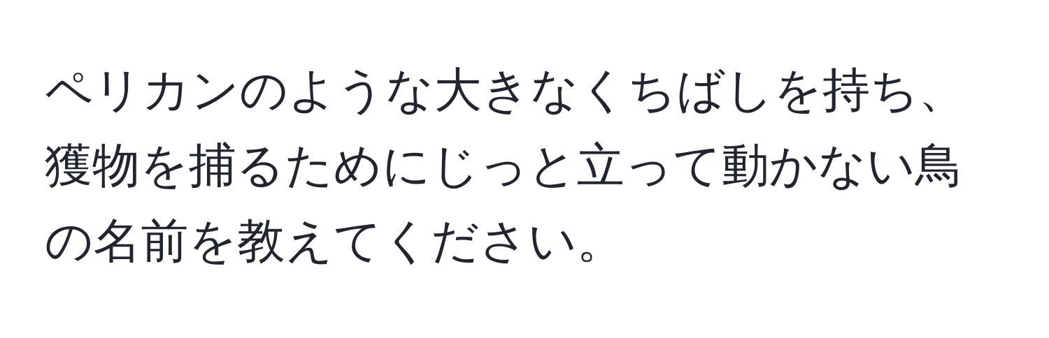 ペリカンのような大きなくちばしを持ち、獲物を捕るためにじっと立って動かない鳥の名前を教えてください。