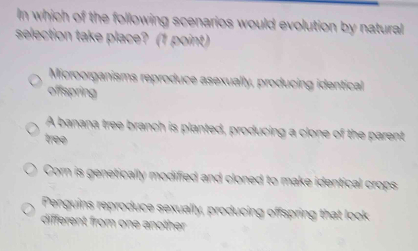 Solved: In which of the following scenarios would evolution by natural ...