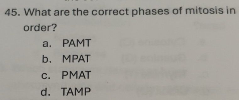 Solved: What are the correct phases of mitosis in order? a. PAMT b ...