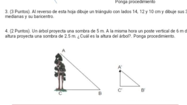 Ponga procedimiento
3. (3 Puntos). Al reverso de esta hoja dibuje un triángulo con lados 14, 12 y 10 cm y dibuje sus 3
medianas y su baricentro.
4. (2 Puntos). Un árbol proyecta una sombra de 5 m. A la misma hora un poste vertical de 6 m d
altura proyecta una sombra de 2.5 m. ¿Cuál es la altura del árbol?. Ponga procedimiento.