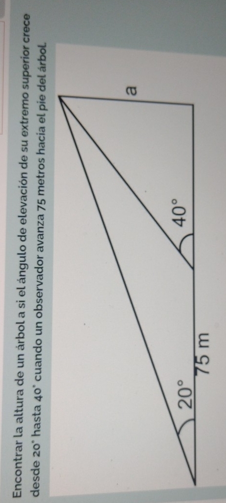 Encontrar la altura de un árbol a si el ángulo de elevación de su extremo superior crece
desde 20° hasta 40° cuando un observador avanza 75 metros hacia el pie del árbol.
