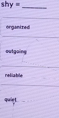 shy=
organized
outgoing
reliable
quiet