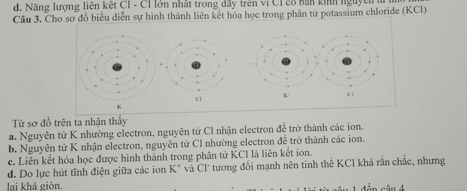 d. Năng lượng liên kết CI - Cỉ lớn nhất trong dãy trên vi CI có bản kinh nguyễn tử
Câu 3. Cho sơ đồ biểu diễn sự hình thành liên kết hóa học trong phân tử potassium chloride (KCl)
cr
Cl
K
Từ sơ đồ trên ta nhận thấy
a. Nguyên tử K nhường electron, nguyên tử Cl nhận electron để trở thành các ion.
b. Nguyên tử K nhận electron, nguyên tử Cl nhường electron để trở thành các ion.
c. Liên kết hóa học được hình thành trong phân tử KCl là liên kết ion.
d. Do lực hút tĩnh điện giữa các ion K^+ và Cl tương đối mạnh nên tinh thể KCl khá rắn chắc, nhưng
lai khá giòn. 1đến câu 4