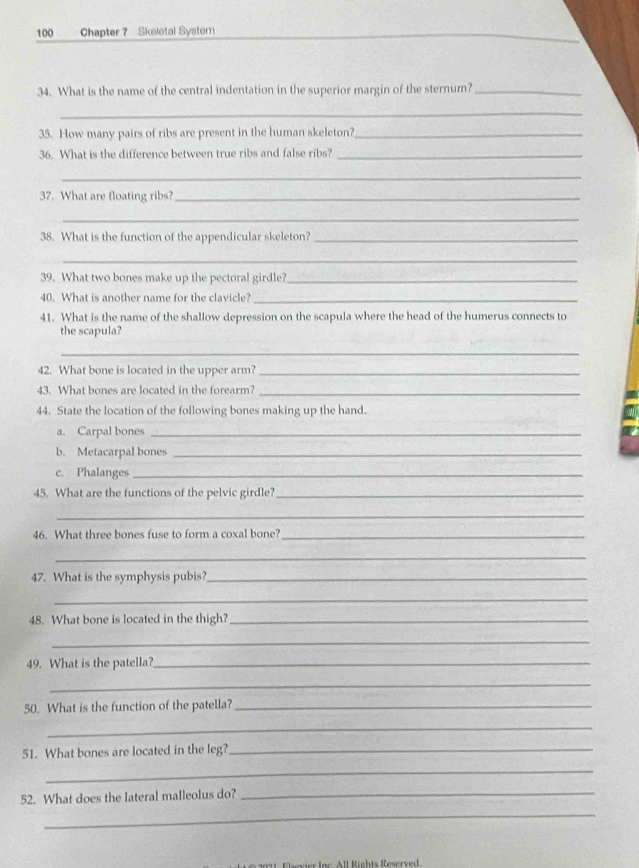 100 Chapter 7 Skeletal System 
34. What is the name of the central indentation in the superior margin of the sternum?_ 
_ 
35. How many pairs of ribs are present in the human skeleton?_ 
36. What is the difference between true ribs and false ribs?_ 
_ 
37. What are floating ribs?_ 
_ 
38. What is the function of the appendicular skeleton?_ 
_ 
39. What two bones make up the pectoral girdle?_ 
40. What is another name for the clavicle?_ 
41. What is the name of the shallow depression on the scapula where the head of the humerus connects to 
the scapula? 
_ 
42. What bone is located in the upper arm?_ 
43. What bones are located in the forearm?_ 
44. State the location of the following bones making up the hand. 
a. Carpal bones_ 
b. Metacarpal bones_ 
c. Phalanges_ 
45. What are the functions of the pelvic girdle?_ 
_ 
46. What three bones fuse to form a coxal bone?_ 
_ 
47. What is the symphysis pubis?_ 
_ 
48. What bone is located in the thigh?_ 
_ 
49. What is the patella?_ 
_ 
50. What is the function of the patella?_ 
_ 
51. What bones are located in the leg?_ 
_ 
52. What does the lateral malleolus do?_ 
_