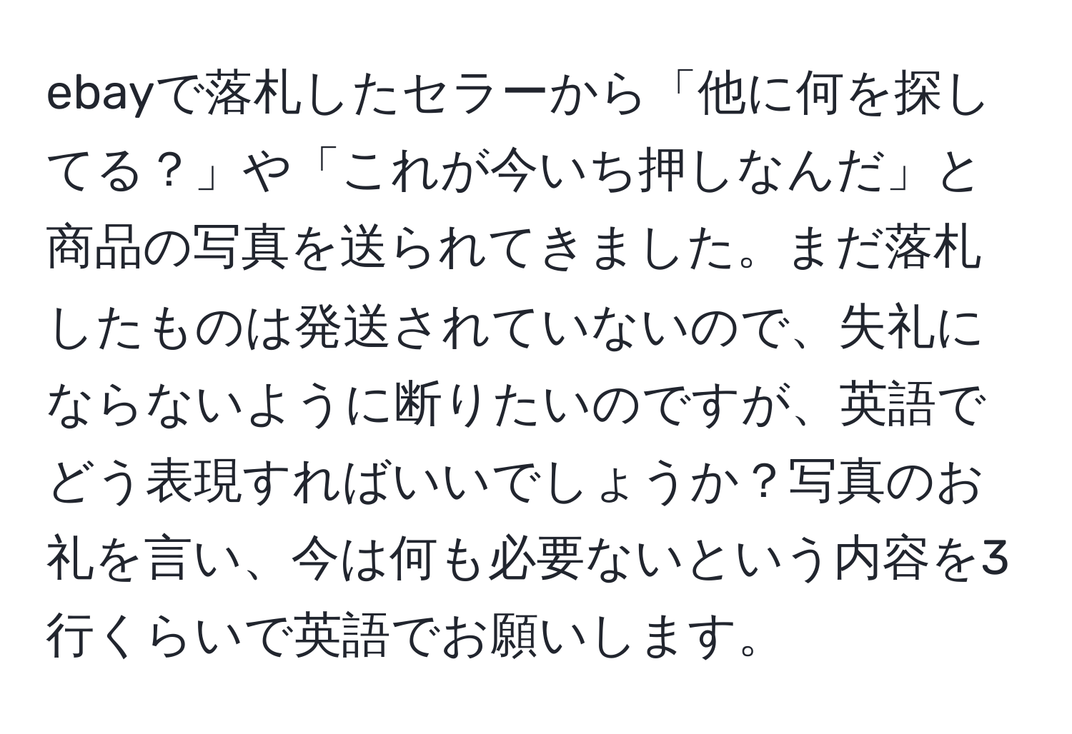 ebayで落札したセラーから「他に何を探してる？」や「これが今いち押しなんだ」と商品の写真を送られてきました。まだ落札したものは発送されていないので、失礼にならないように断りたいのですが、英語でどう表現すればいいでしょうか？写真のお礼を言い、今は何も必要ないという内容を3行くらいで英語でお願いします。