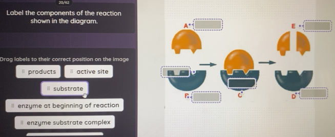 Solved: 20/62 Label the components of the reaction shown in the diagram ...