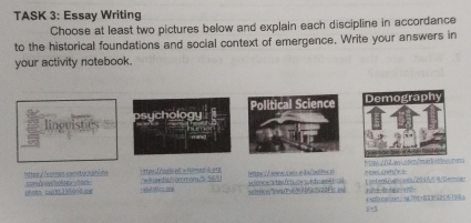 TASK 3: Essay Writing 
Choose at least two pictures below and explain each discipline in accordance 
to the historical foundations and social context of emergence. Write your answers in 
your activity notebook. 
Political Science Demography 
05 
linguistic ychology 
' 
rinr 
T to t e A c 
es f pió ed w es d e r # ve cpenthe 3 Etmo A0 wo Cote dmar k sfône rea 
https//comes canity kshing com do o s t o t oo tar 
phóta cett 2350%9 je ngylsties he / wkitedis/rommom/5/56/ solence ates/ctuce s é du métical t anterB(ugtc a dsu2036/1ernoar 
4xpa naciónng Tta B 3 3 2 CA 1 88 a