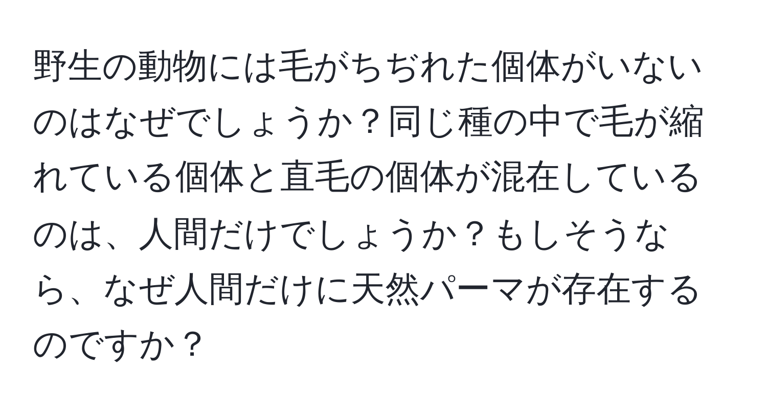 野生の動物には毛がちぢれた個体がいないのはなぜでしょうか？同じ種の中で毛が縮れている個体と直毛の個体が混在しているのは、人間だけでしょうか？もしそうなら、なぜ人間だけに天然パーマが存在するのですか？