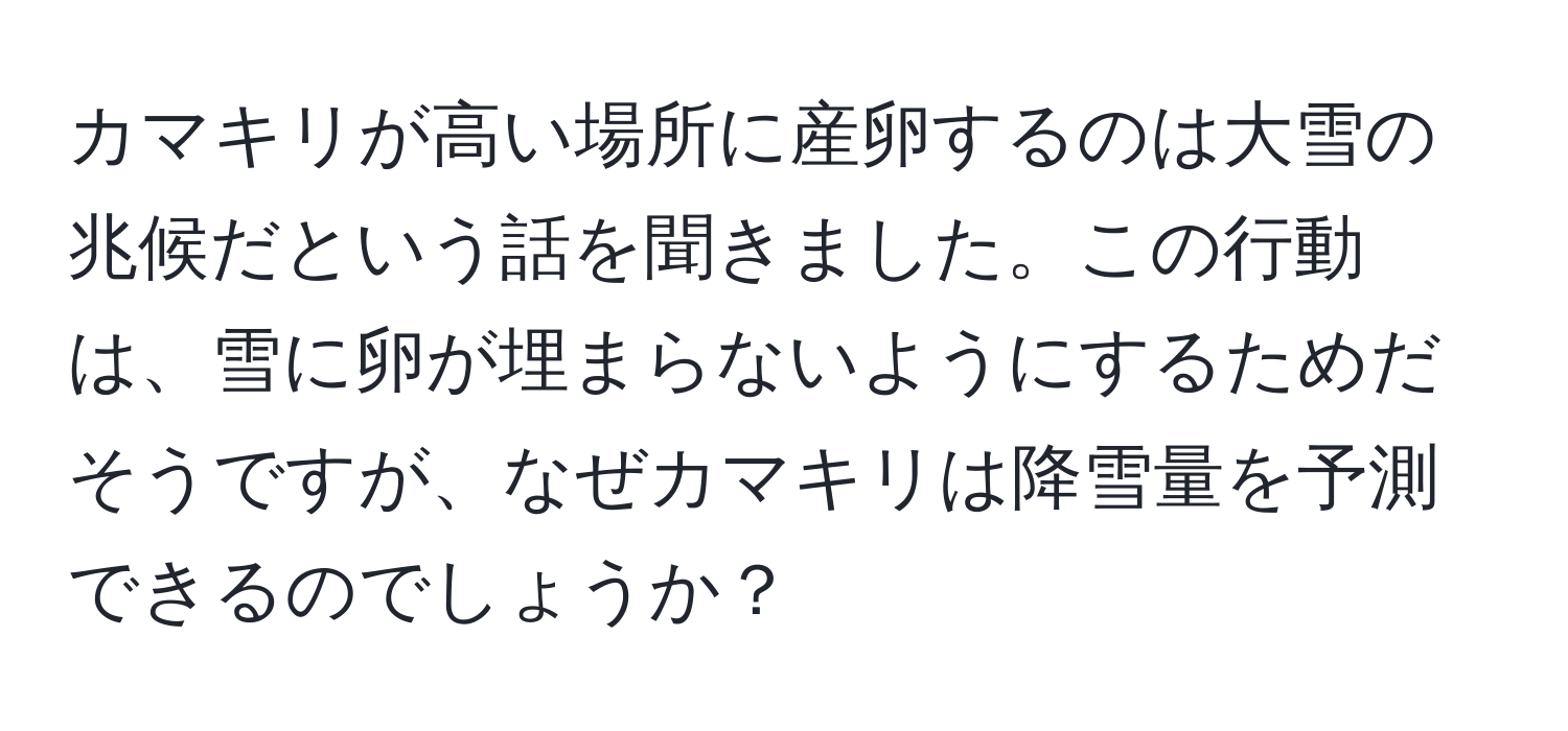 カマキリが高い場所に産卵するのは大雪の兆候だという話を聞きました。この行動は、雪に卵が埋まらないようにするためだそうですが、なぜカマキリは降雪量を予測できるのでしょうか？