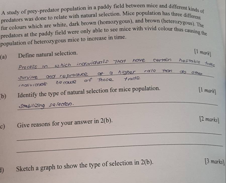 A study of prey-predator population in a paddy field between mice and different kinds of 
predators was done to relate with natural selection. Mice population has three different 
fur colours which are white, dark brown (homozygous), and brown (heterozygous). The 
predators at the paddy field were only able to see mice with vivid colour thus causing the 
population of heterozygous mice to increase in time. 
(a) Define natural selection. 
[1 mark] 
_hentable traits 
_ 
e thar 
di vi duals 
(b) Identify the type of natural selection for mice population. 
[l mark] 
_ 
c) Give reasons for your answer in 2(b). 
[2 marks] 
_ 
_ 
d) Sketch a graph to show the type of selection in 2(b). 
[3 marks]