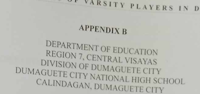 VA R SI TY P L AY ERS IN D 
APPENDIX B 
DEPARTMENT OF EDUCATION 
REGION 7, CENTRAL VISAYAS 
DIVISION OF DUMAGUETE CITY 
DUMAGUETE CITY NATIONAL HIGH SCHOOL 
CALINDAGAN, DUMAGUETE CITY