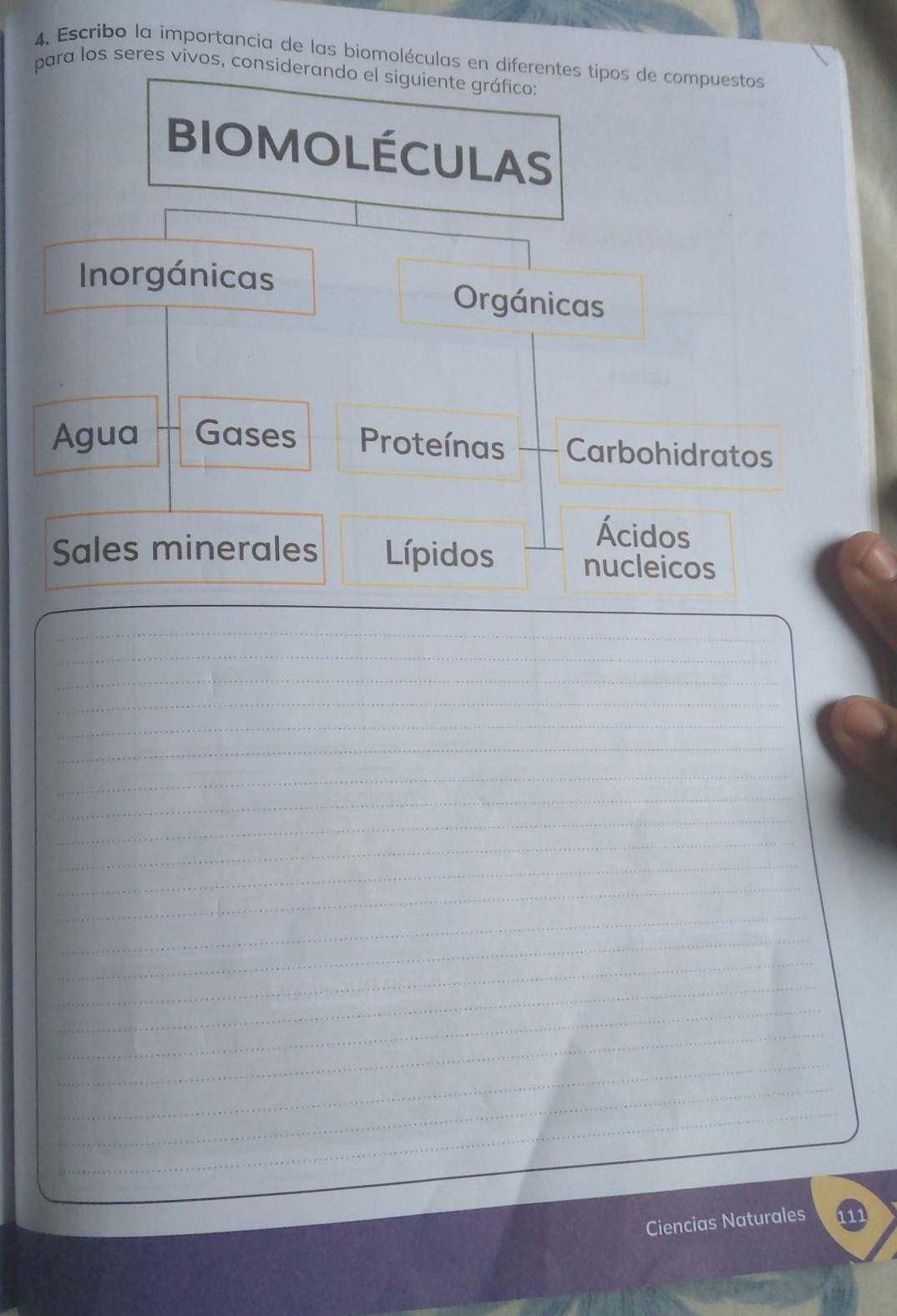 Escribo la importancia de las biomoléculas en diferentes típos de compuestos 
para los seres vivos, considerando el siguiente gráfico: 
BIOMOLÉCULAS 
Inorgánicas Orgánicas 
Agua Gases Proteínas Carbohidratos 
Ácidos 
Sales minerales Lípidos nucleicos 
_ 
_ 
_ 
_ 
_ 
_ 
_ 
_ 
_ 
_ 
_ 
_ 
_ 
_ 
_ 
_ 
_ 
_ 
_ 
_ 
_ 
_ 
Ciencias Naturales 111