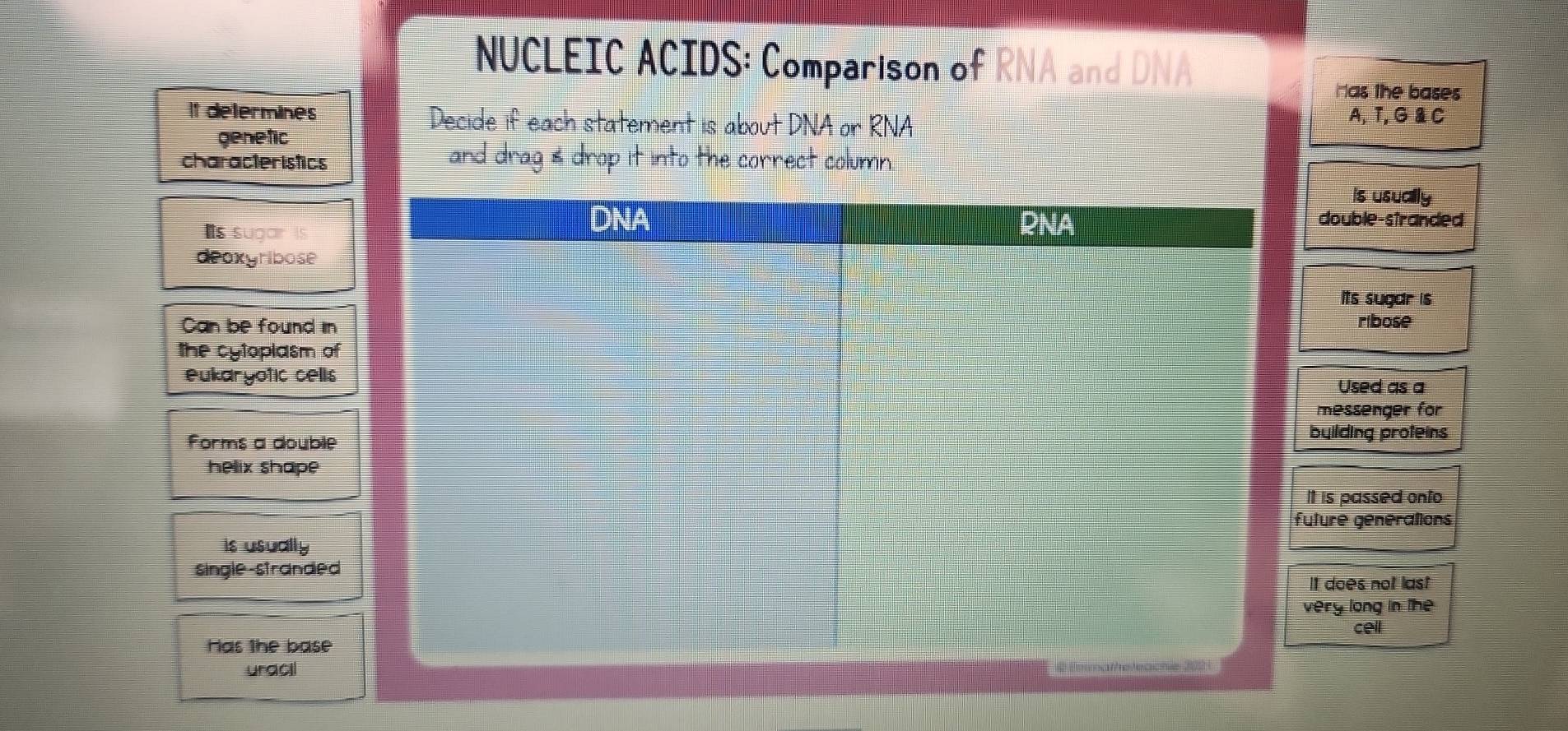 NUCLEIC ACIDS: Comparison of RNA and DNA 
Has the bases 
It determines Decide if each statement is about DNA or RNA 
A,T, G & C 
genetic 
characteristics and drag & drop it into the correct column. 
is usually 
double-stranded 
Is sugar is 
deoxyribose 
Its sugar is 
Can be found inribose 
the cytoplasm of 
eukaryotic cellsUsed as a 
messenger for 
Forms a double 
building proteins 
helix shape 
It is passed onfo 
uture générations 
is usually 
single-stranded 
It does not last 
very long in the 
cell 
Has the base 
uracil