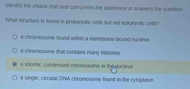 ldentify the choice that best completes the statement or answers the question
What structure is found in prokaryotic cells but not eukaryotic cells?
a chromosome found within a membrane-bound nucleus
a chromosome that contains many histones
a shorter, condensed chromosome in the pucleus
a single, circular DNA chromosome found in the cytoplasm