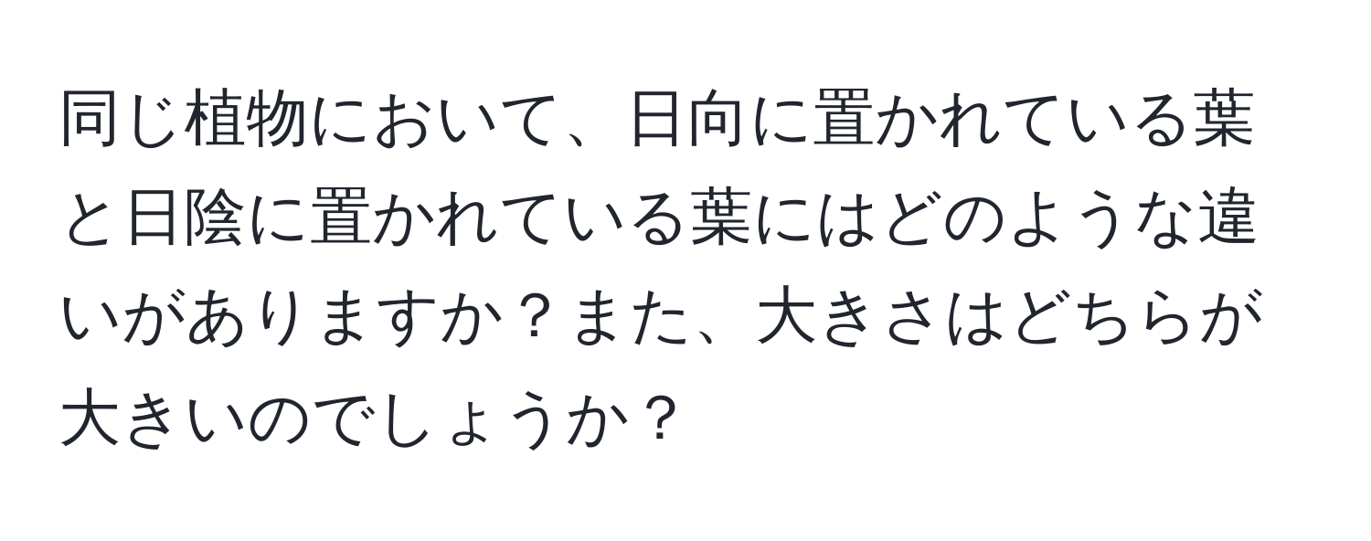 同じ植物において、日向に置かれている葉と日陰に置かれている葉にはどのような違いがありますか？また、大きさはどちらが大きいのでしょうか？