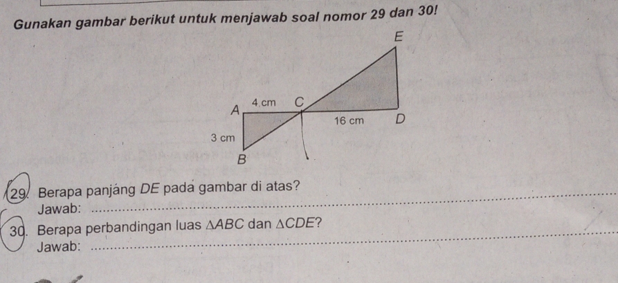 Gunakan gambar berikut untuk menjawab soal nomor 29 dan 30! 
29. Berapa panjáng DE pada gambar di atas? 
Jawab: 
_ 
30. Berapa perbandingan luas △ ABC dan △ CDE ? 
Jawab: