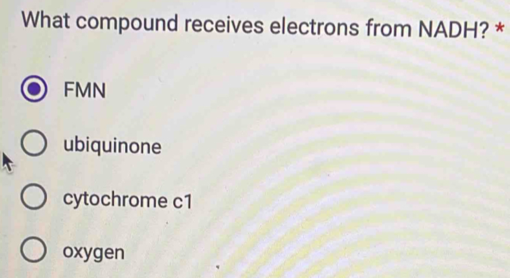 What compound receives electrons from NADH? *
FMN
ubiquinone
cytochrome c1
oxygen