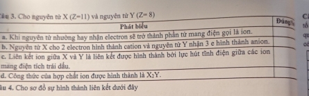 ầC
ổ
au
bcó
c
m
d
âu