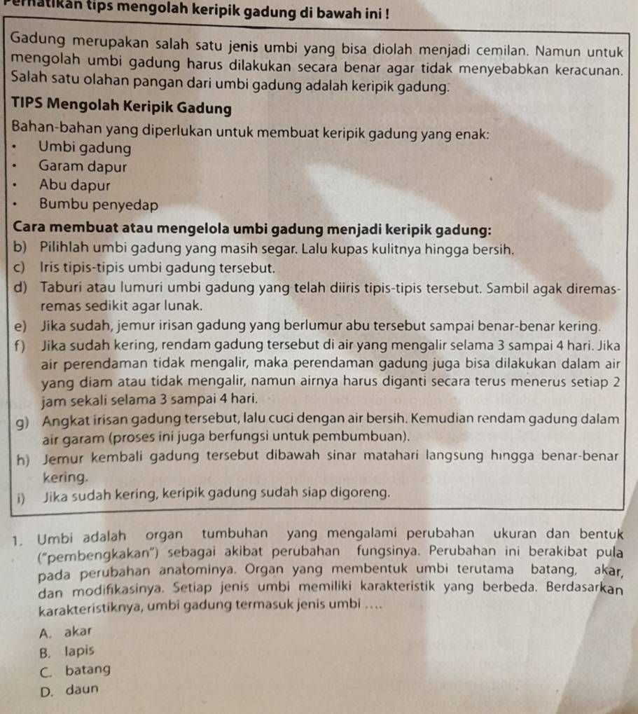 eratikan tips mengolah keripik gadung di bawah ini !
Gadung merupakan salah satu jenis umbi yang bisa diolah menjadi cemilan. Namun untuk
mengolah umbi gadung harus dilakukan secara benar agar tidak menyebabkan keracunan.
Salah satu olahan pangan dari umbi gadung adalah keripik gadung.
TIPS Mengolah Keripik Gadung
Bahan-bahan yang diperlukan untuk membuat keripik gadung yang enak:
Umbi gadung
Garam dapur
Abu dapur
Bumbu penyedap
Cara membuat atau mengelola umbi gadung menjadi keripik gadung:
b) Pilihlah umbi gadung yang masih segar. Lalu kupas kulitnya hingga bersih.
c) Iris tipis-tipis umbi gadung tersebut.
d) Taburi atau lumuri umbi gadung yang telah diiris tipis-tipis tersebut. Sambil agak diremas-
remas sedikit agar lunak.
e) Jika sudah, jemur irisan gadung yang berlumur abu tersebut sampai benar-benar kering.
f) Jika sudah kering, rendam gadung tersebut di air yang mengalir selama 3 sampai 4 hari. Jika
air perendaman tidak mengalir, maka perendaman gadung juga bisa dilakukan dalam air
yang diam atau tidak mengalir, namun airnya harus diganti secara terus menerus setiap 2
jam sekali selama 3 sampai 4 hari.
g) Angkat irisan gadung tersebut, lalu cuci dengan air bersih. Kemudian rendam gadung dalam
air garam (proses ini juga berfungsi untuk pembumbuan).
h) Jemur kembali gadung tersebut dibawah sinar matahari langsung hingga benar-benar
kering.
i) Jika sudah kering, keripik gadung sudah siap digoreng.
1. Umbi adalah organ tumbuhan yang mengalami perubahan ukuran dan bentuk
("pembengkakan") sebagai akibat perubahan fungsinya. Perubahan ini berakibat pula
pada perubahan anatominya. Organ yang membentuk umbi terutama batang, akar,
dan modifikasinya. Setiap jenis umbi memiliki karakteristik yang berbeda. Berdasarkan
karakteristiknya, umbi gadung termasuk jenis umbi ...
A. akar
B. lapis
C. batang
D. daun