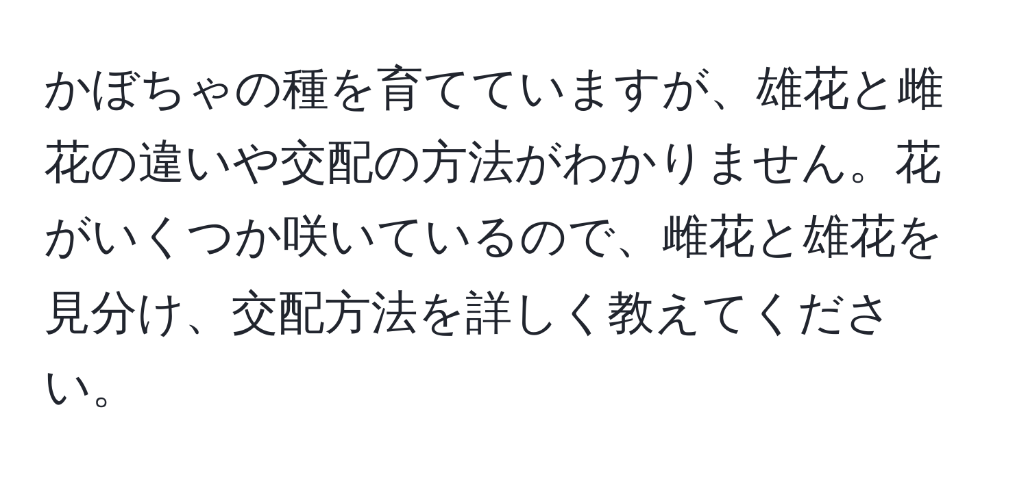 かぼちゃの種を育てていますが、雄花と雌花の違いや交配の方法がわかりません。花がいくつか咲いているので、雌花と雄花を見分け、交配方法を詳しく教えてください。