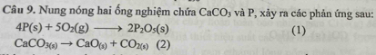 Nung nóng hai ống nghiệm chứa CaCO_3 và P, xảy ra các phản ứng sau:
4P(s)+5O_2(g)to 2P_2O_5(s) (1)
CaCO_3(s)to CaO_(s)+CO_2(s)(2)