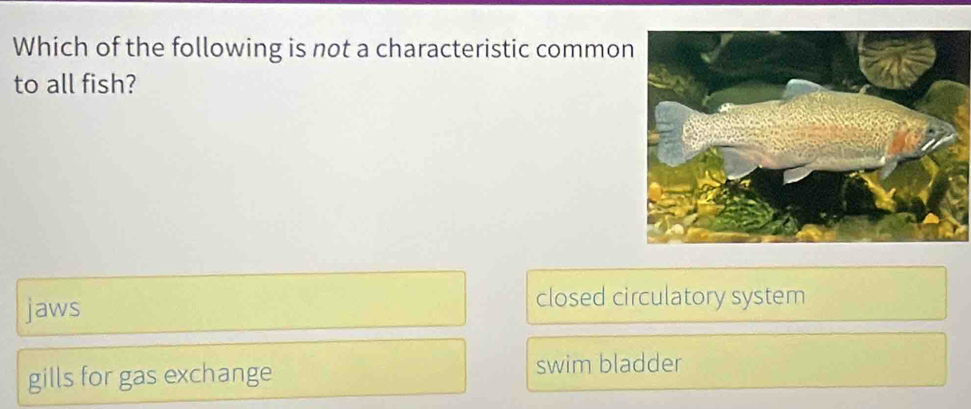 Which of the following is not a characteristic commo
to all fish?
jaws
closed circulatory system
gills for gas exchange
swim bladder